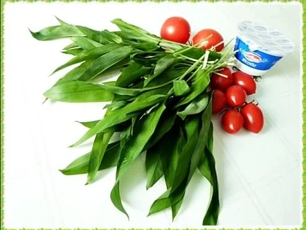 Rezept: „Tulpen Strauß“ mit Bärlauchsauce als Frühlingsanfangs-Begrüßung Bild Nr. 6 „Tulpen Strauß“ mit Bärlauchsauce als Frühlingsanfangs-Begrüßung - Rezept - Bild Nr. 6