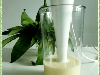 Rezept: „Tulpen Strauß“ mit Bärlauchsauce als Frühlingsanfangs-Begrüßung Bild Nr. 8 „Tulpen Strauß“ mit Bärlauchsauce als Frühlingsanfangs-Begrüßung - Rezept - Bild Nr. 8