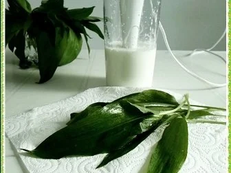 Rezept: „Tulpen Strauß“ mit Bärlauchsauce als Frühlingsanfangs-Begrüßung Bild Nr. 9 „Tulpen Strauß“ mit Bärlauchsauce als Frühlingsanfangs-Begrüßung - Rezept - Bild Nr. 9