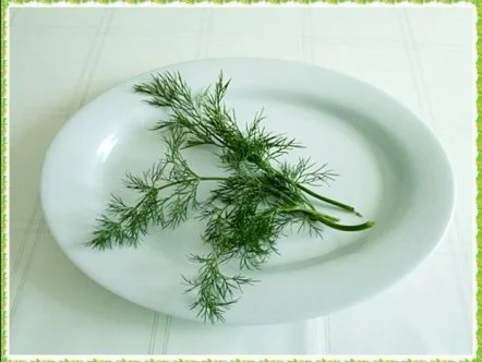 Rezept: „Tulpen Strauß“ mit Bärlauchsauce als Frühlingsanfangs-Begrüßung Bild Nr. 13 „Tulpen Strauß“ mit Bärlauchsauce als Frühlingsanfangs-Begrüßung - Rezept - Bild Nr. 13