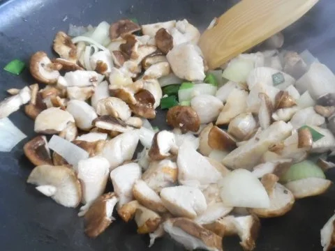 Shii-Take-Hähnchen in Kokos-Curry-Soße - Rezept - Bild Nr. 3