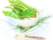 Spargelsuppe mit asiatischen Kräutern - Rezept