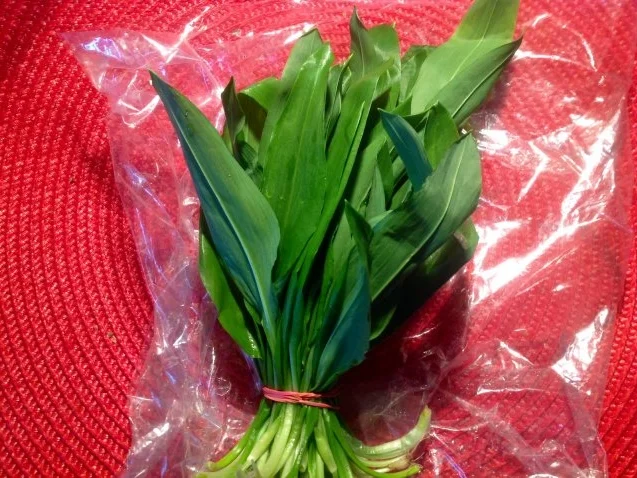 Bärlauch-Käsecreme - Rezept - Bild Nr. 4