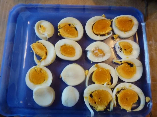 Fl/Pute: Sauerfleischsülze mit Gemüse - Rezept - Bild Nr. 5