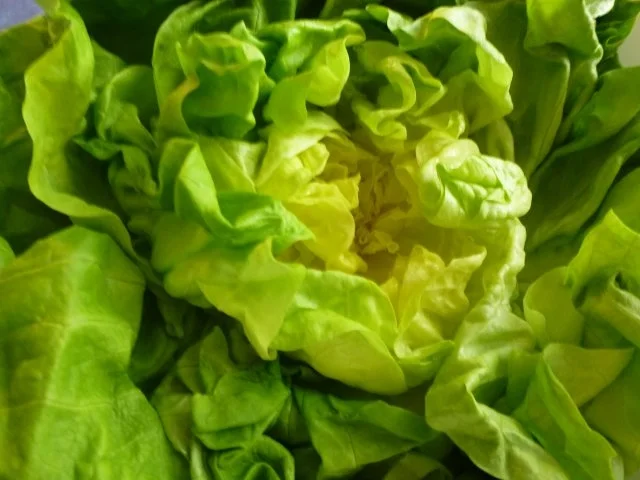 Rezept: Kopfsalat mit Ei und Brot Bild Nr. 2 Kopfsalat mit Ei und Brot - Rezept - Bild Nr. 2