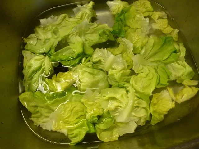 Rezept: Kopfsalat mit Ei und Brot Bild Nr. 4 Kopfsalat mit Ei und Brot - Rezept - Bild Nr. 4