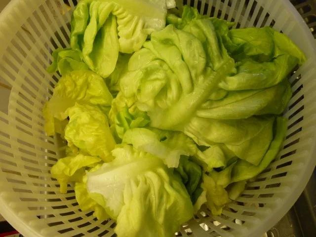 Rezept: Kopfsalat mit Ei und Brot Bild Nr. 7 Kopfsalat mit Ei und Brot - Rezept - Bild Nr. 7