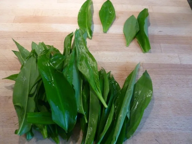 Bärlauch Pesto mit Wallnüsse - Rezept - Bild Nr. 2