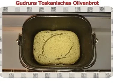 Brot: Toskanisches Olivenbrot - Rezept - Bild Nr. 14