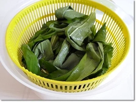 Rezept: Bärlauch Cremesuppe Bild Nr. 8 Bärlauch Cremesuppe - Rezept - Bild Nr. 8