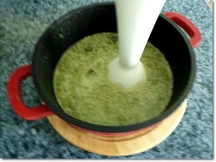 Rezept: Bärlauch Cremesuppe Bild Nr. 12 Bärlauch Cremesuppe - Rezept - Bild Nr. 12