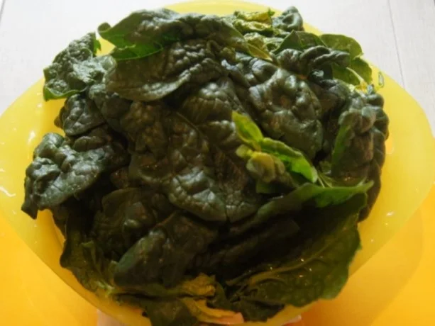 Omelett mit frischen Blattspinat - Rezept - Bild Nr. 3