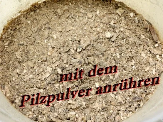 Sisserl’s ~ Jägerschnitzel - Rezept - Bild Nr. 5