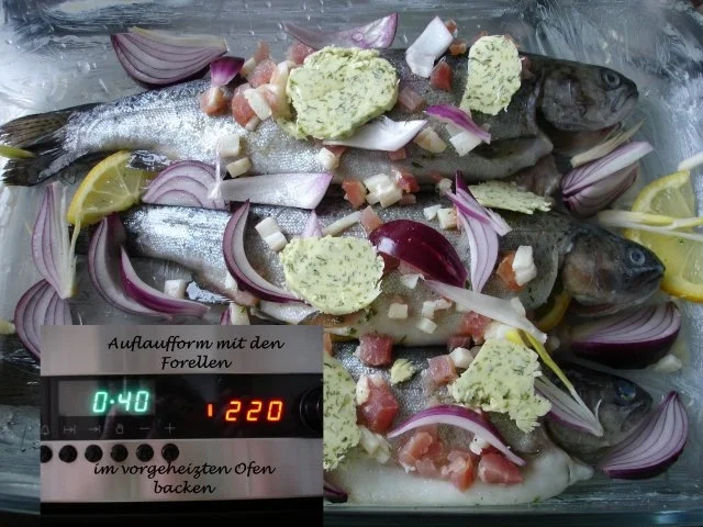 Rezept: Forelle aus dem Backofen Bild Nr. 5 Forelle aus dem Backofen - Rezept - Bild Nr. 5