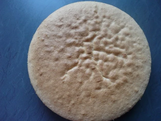 Mandarinen-Joghurt-Torte - Rezept - Bild Nr. 5