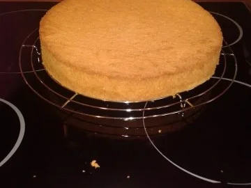 Rezept: Himbeerjoghurttorte Bild Nr. 6 Himbeerjoghurttorte - Rezept - Bild Nr. 6