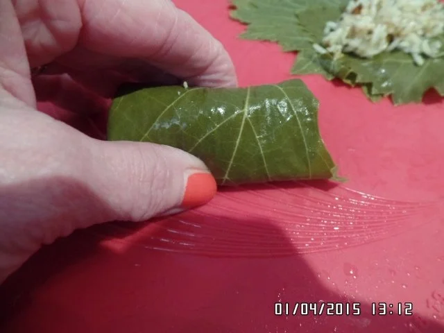 Gefüllte Weinblätter mit Reis - Rezept - Bild Nr. 5