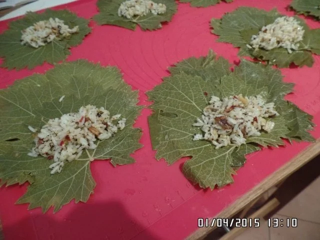 Gefüllte Weinblätter mit Reis - Rezept - Bild Nr. 7