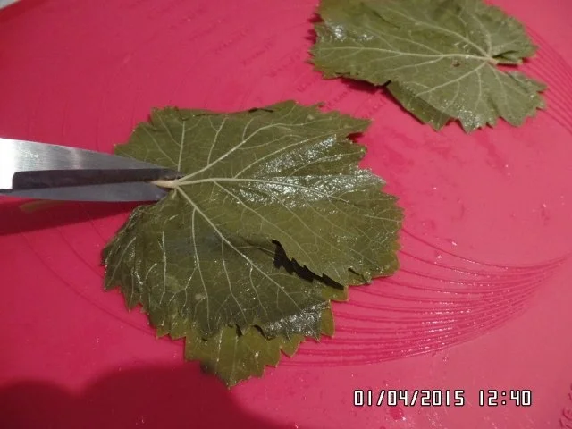 Gefüllte Weinblätter mit Reis - Rezept - Bild Nr. 8