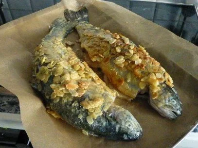 Forellen in der Mandelhülle mit Meerrettichstampf - Rezept - Bild Nr. 4
