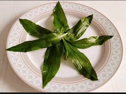 Junger Bärlauch Salat mit Fetakäse und Dressing dazu - Rezept - Bild Nr. 7