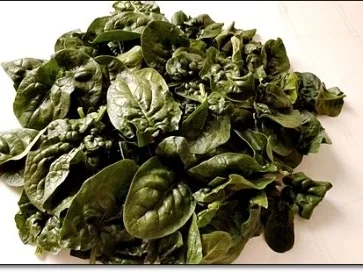 Rezept: Gebratenes Lachsfilet auf Spinatbett Bild Nr. 6 Gebratenes Lachsfilet auf Spinatbett - Rezept - Bild Nr. 6