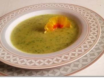Eine fruchtige  Avocado – Bärlauch- Cremesuppe - Rezept - Bild Nr. 2