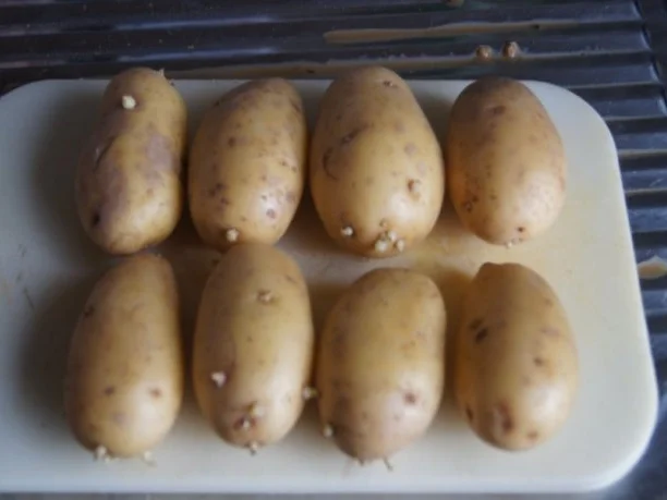 Puten-Ministeaks mit Rahm-Möhrenblüten und Kartoffelpilzen - Rezept - Bild Nr. 2