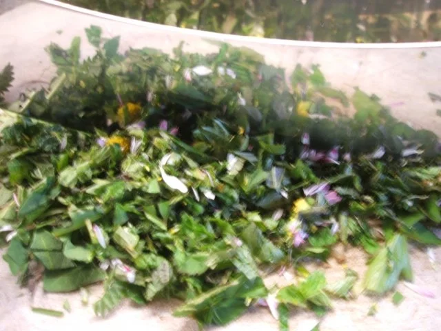 Vorrat: Wildkräuterbutter - Rezept - Bild Nr. 3