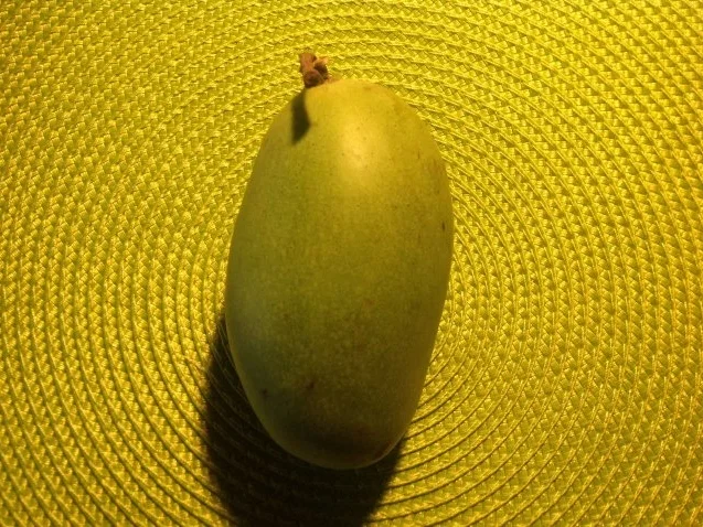 Rezept: Mango-Chili-Frischkäse-Dip mit Pellkartoffeln Bild Nr. 5 Mango-Chili-Frischkäse-Dip mit Pellkartoffeln - Rezept - Bild Nr. 5