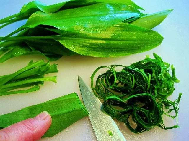 Frühlings - Remoulade - Rezept - Bild Nr. 5