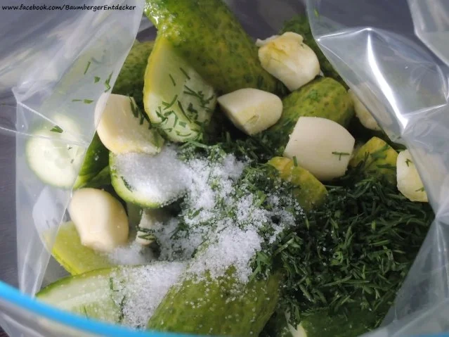 eingelegte Gurken - Rezept - Bild Nr. 3