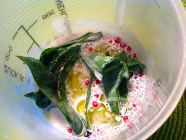 Bärlauch-Nudelsalat - Rezept - Bild Nr. 4