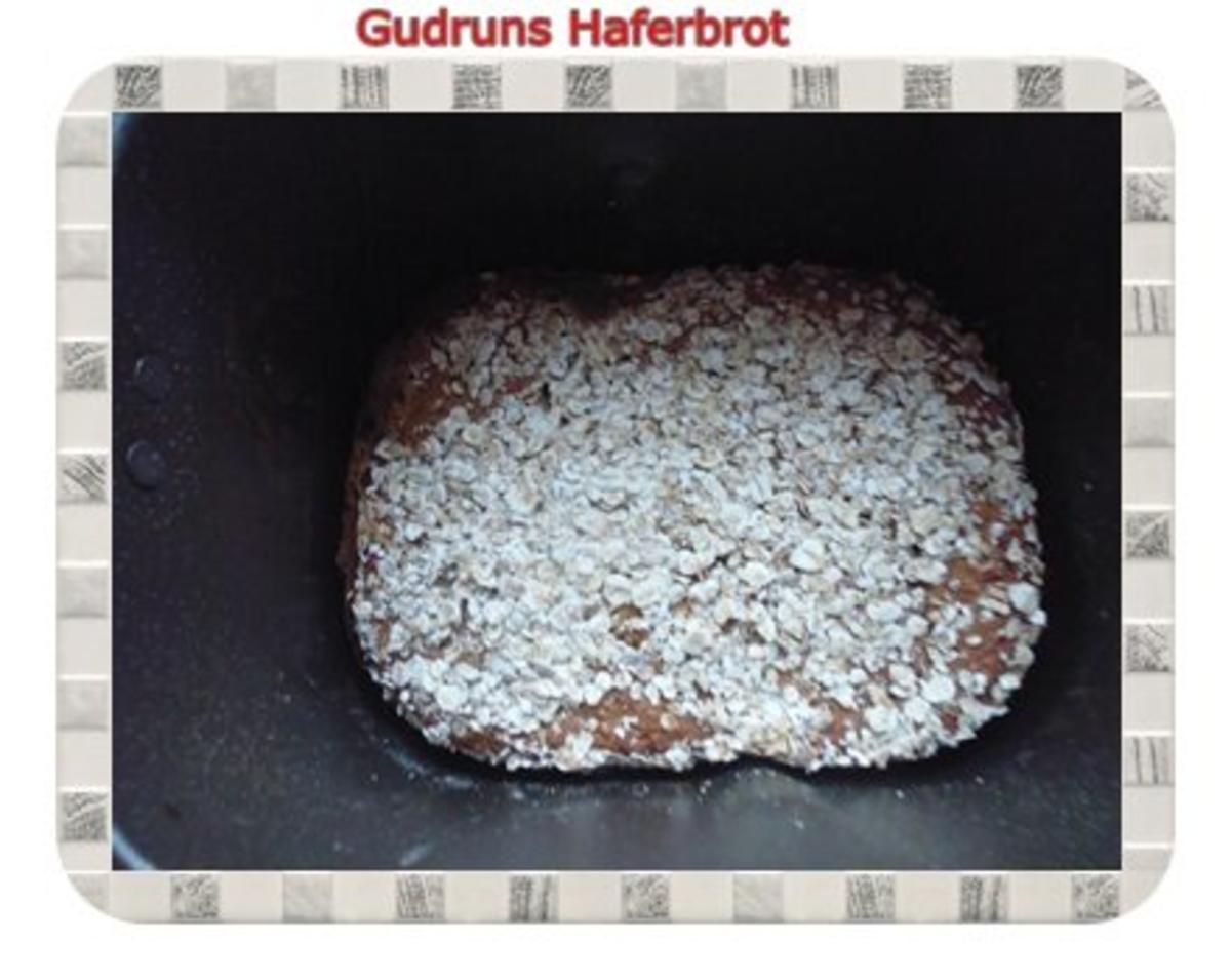 Brot: Haferbrot - Rezept - Bild Nr. 12