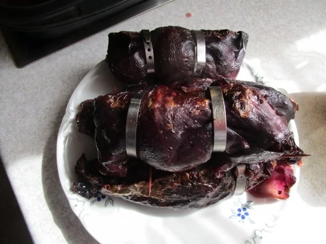 Rote Rouladen - Rezept - Bild Nr. 24