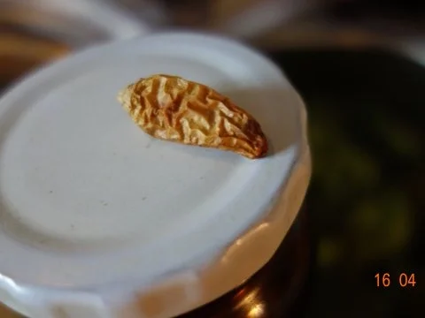 Rezept: Gemüsesupperl frei nach Waltl Bild Nr. 9 Gemüsesupperl frei nach Waltl - Rezept - Bild Nr. 9