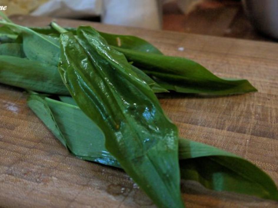 Bärlauch Feta Brotaufstrich - einfach - 49 kcal/100g Bärlauch Feta Brotaufstrich - einfach - 49 kcal/100g