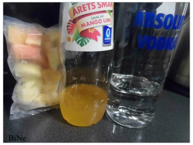 MANGO - SLUSH MIT WODKA - Rezept - Bild Nr. 3