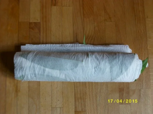 Rezept: Bärlauchsalz Bild Nr. 5 Bärlauchsalz - Rezept - Bild Nr. 5