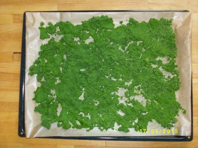 Rezept: Bärlauchsalz Bild Nr. 7 Bärlauchsalz - Rezept - Bild Nr. 7