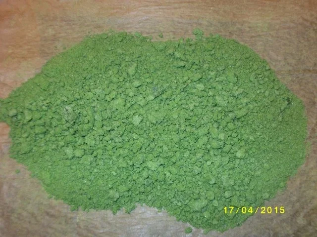 Rezept: Bärlauchsalz Bild Nr. 8 Bärlauchsalz - Rezept - Bild Nr. 8