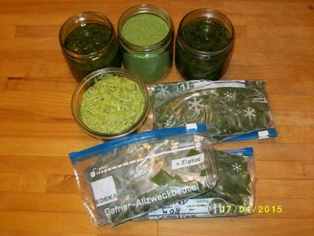 Rezept: Bärlauchsalz Bild Nr. 11 Bärlauchsalz - Rezept - Bild Nr. 11