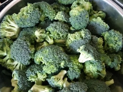 Rezept: Fisch : Leon's Forelle Müllerin Bild Nr. 9 Fisch : Leon's Forelle Müllerin - Rezept - Bild Nr. 9