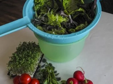 Knusper-Kohlrabi auf Kräutersalat mit Petersilienwurzelpüree und Hähnchenbrustfilet - Rezept - Bild Nr. 2