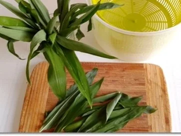 Frühlings-Bärlauch Cremesuppe - Rezept - Bild Nr. 18