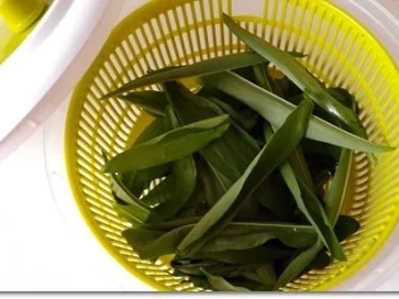 Frühlings-Bärlauch Cremesuppe - Rezept - Bild Nr. 19