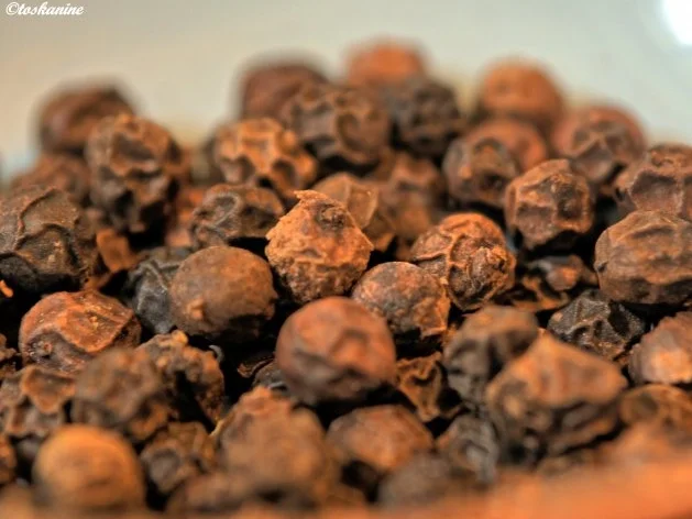 Huhn in Whisky-Sauce - Rezept - Bild Nr. 6