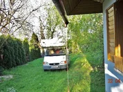 Steirischer Röhrlsalat - Rezept