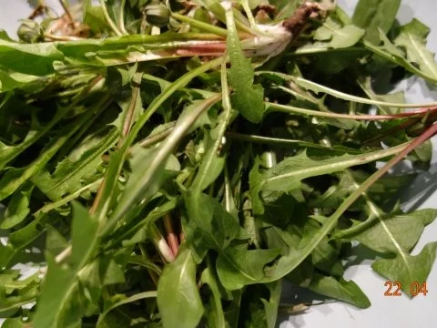 Steirischer Röhrlsalat - Rezept - Bild Nr. 6