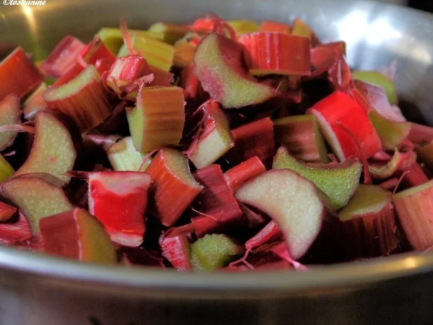 Rhabarber-Sirup - Rezept - Bild Nr. 2